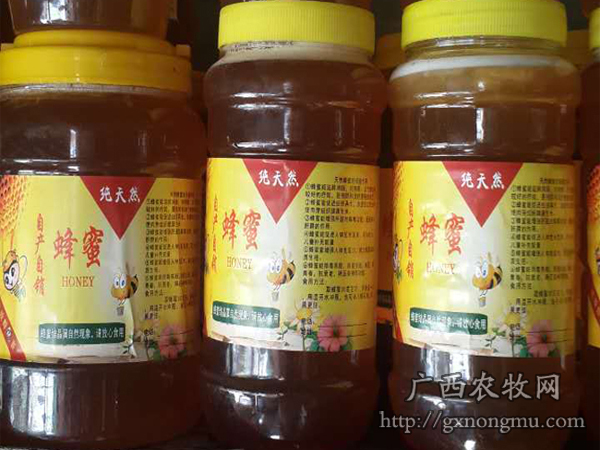 探秘浦北縣輝旺中蜂良種繁殖合作社 匠心釀造的自然蜜語(yǔ)
